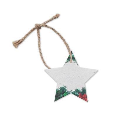 Décoration étoile en papier semences Staryde
