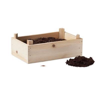 Kit de culture de fraises avec compost Kolya