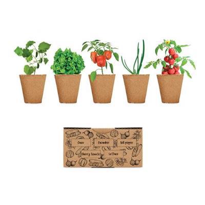 Kit de culture de salade en papier Sarada