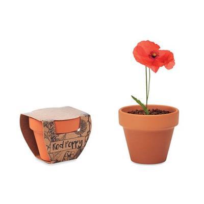 Pot en terre cuite avec graines de coquelicot Popy
