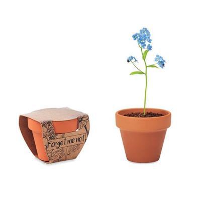 Pot en terre avec graines de myosotis Mystisse