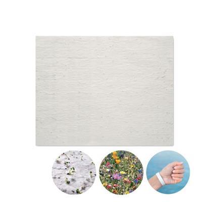 Feuille de 10 bracelets pour événements Bandsee
