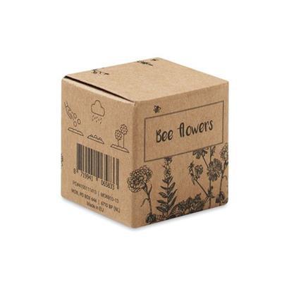 Kit de culture de graines de fleurs d'abeille Fuza