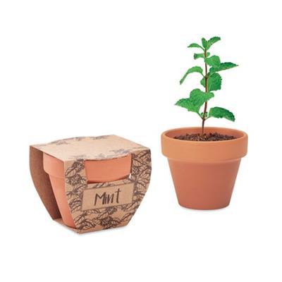 Petit pot en terre avec graines de menthe Tamios