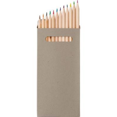 Set de 12 crayons de couleur biodégradable Noun