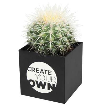 Pot en aluminium avec cactus Nirvanah