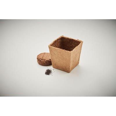 Pot de tourbe biodégradable avec graines Gardenia