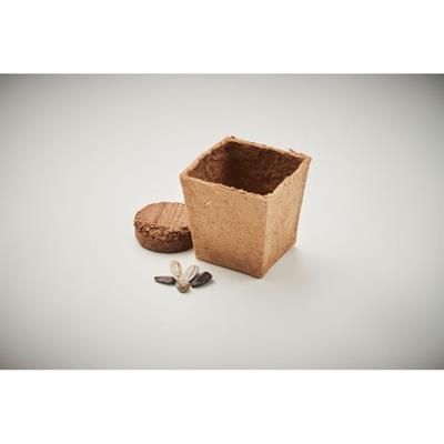 Pot de tourbe biodégradable avec des graines Sonny