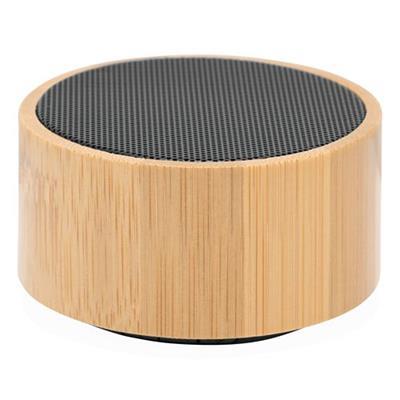 Haut-parleur puissant sans fil en plastique Wega