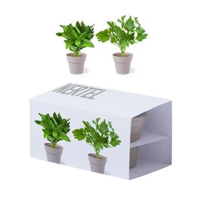 Set pot de fleurs en matière biodégradable Nortel
