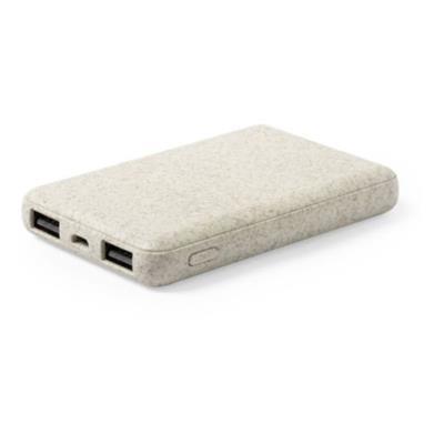 Power Bank 5000 mAh avec double entrée USB Shadow