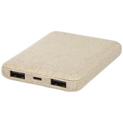 Power bank de 5000 mAh en plastique Strenghy