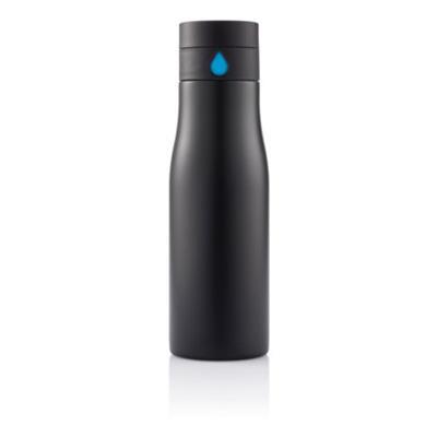 Bouteille de 650 ml en acier inoxydable Aquarius