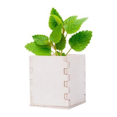 Kit pour cultiver de la menthe pratique Douza